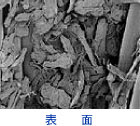 AZURTEX PET 顕微鏡写真表面